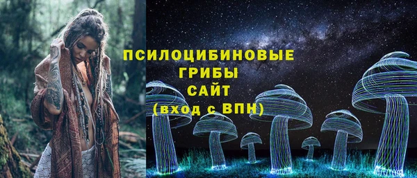 шишки Михайловка
