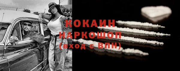 шишки Михайловка
